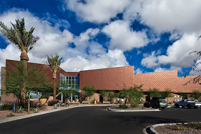 Modern library with palm trees